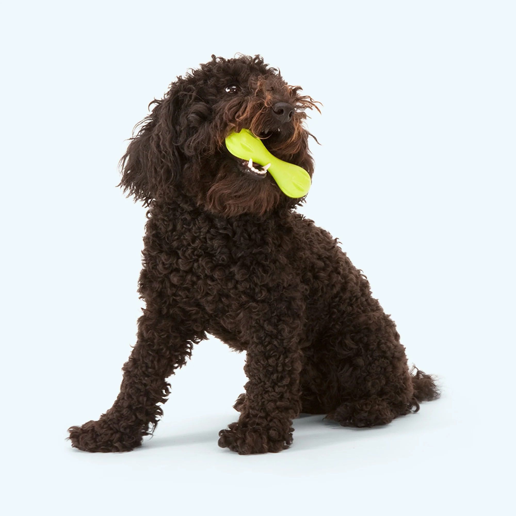 West Paw Hurley Dog Toy product image
