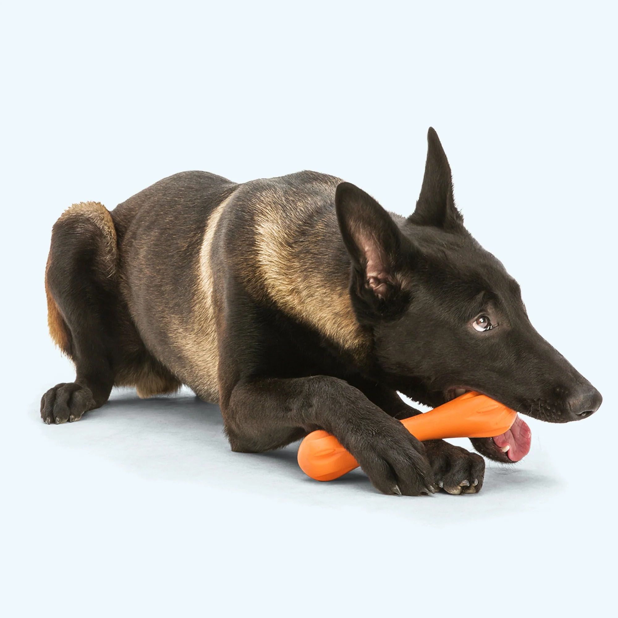 West Paw Hurley Dog Toy product image