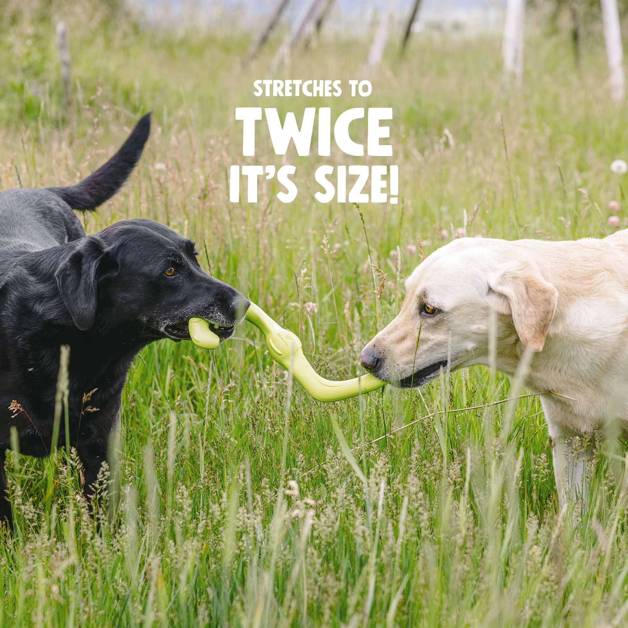 West Paw Bumi Dog Toy product image