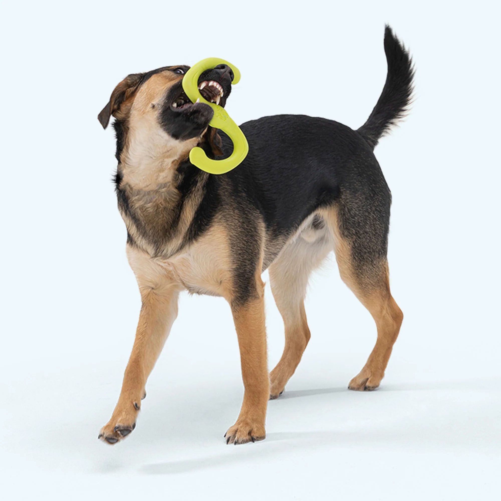 West Paw Bumi Dog Toy product image