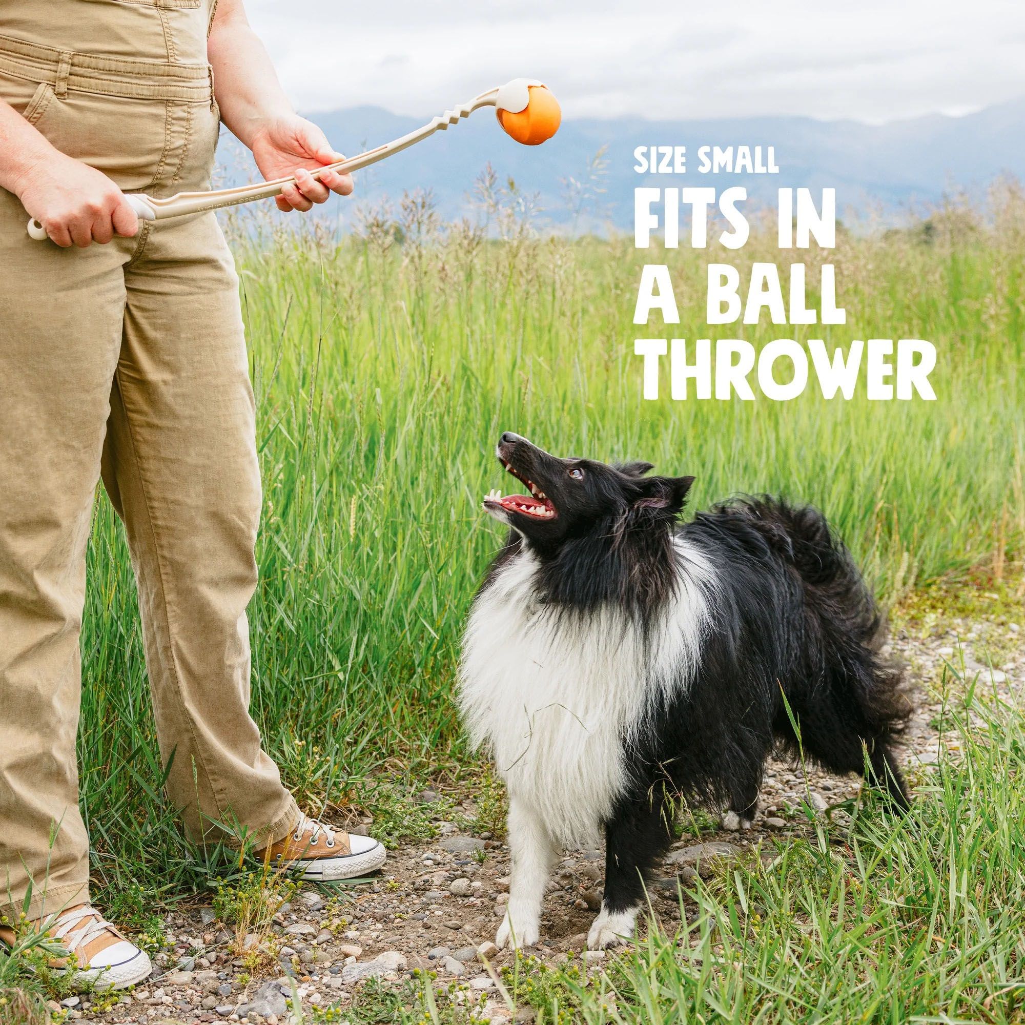 West Paw Jive Dog Toy product image