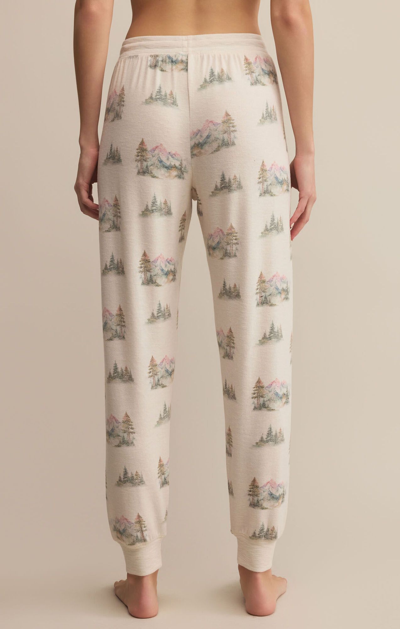 Z Supply Women's Overnight Road Trip Jogger product image