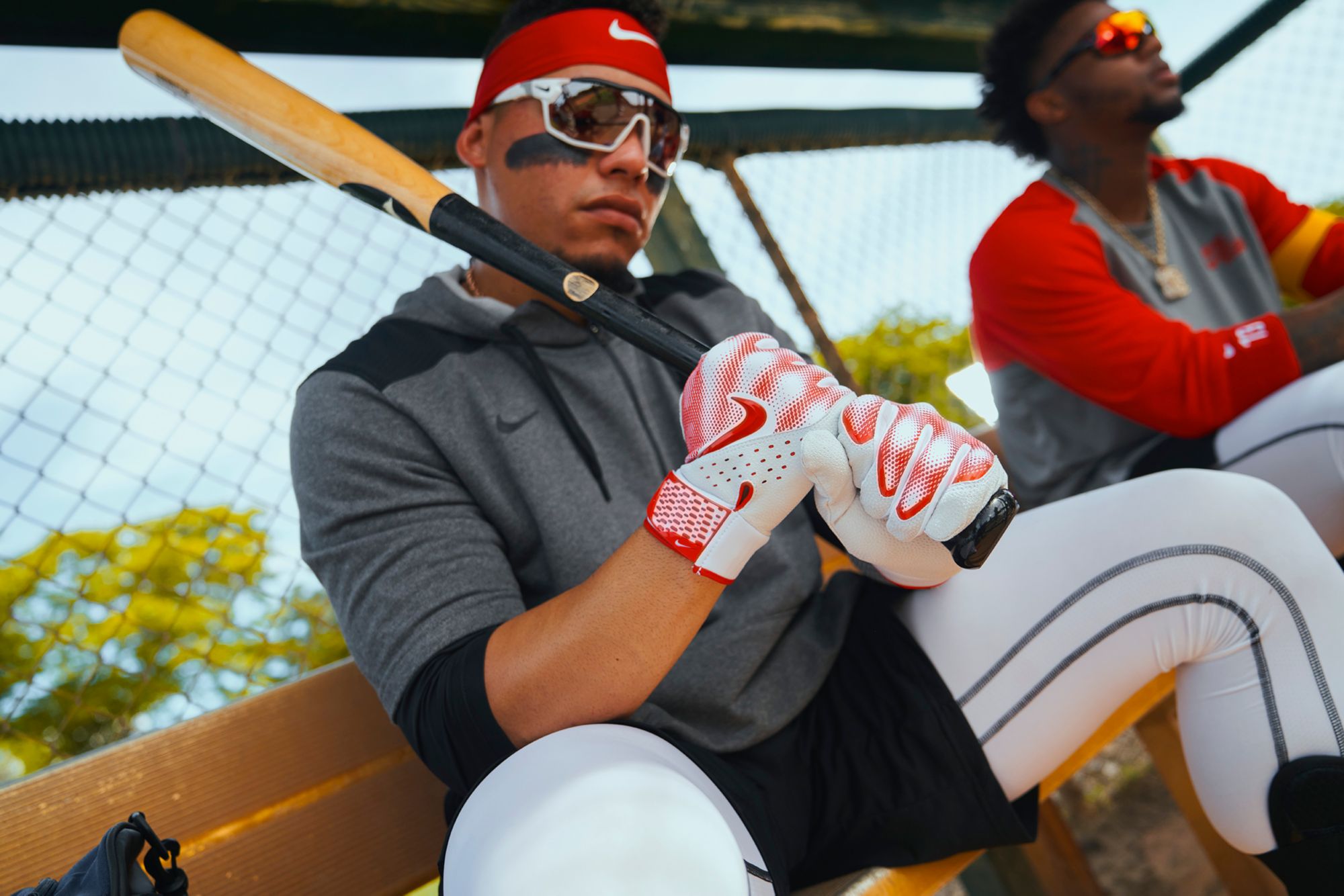 Nike Alpha Varsity Batting Gloves product image