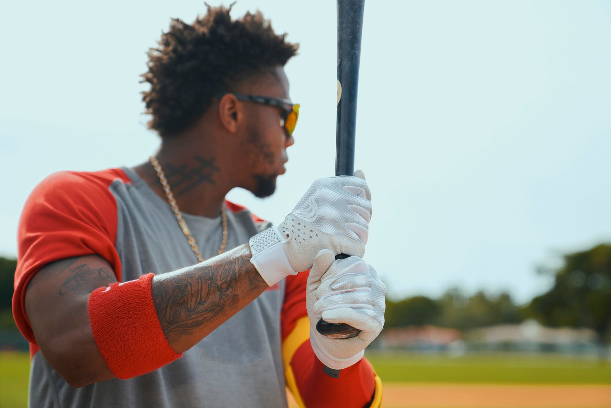 Nike Alpha Varsity Batting Gloves product image