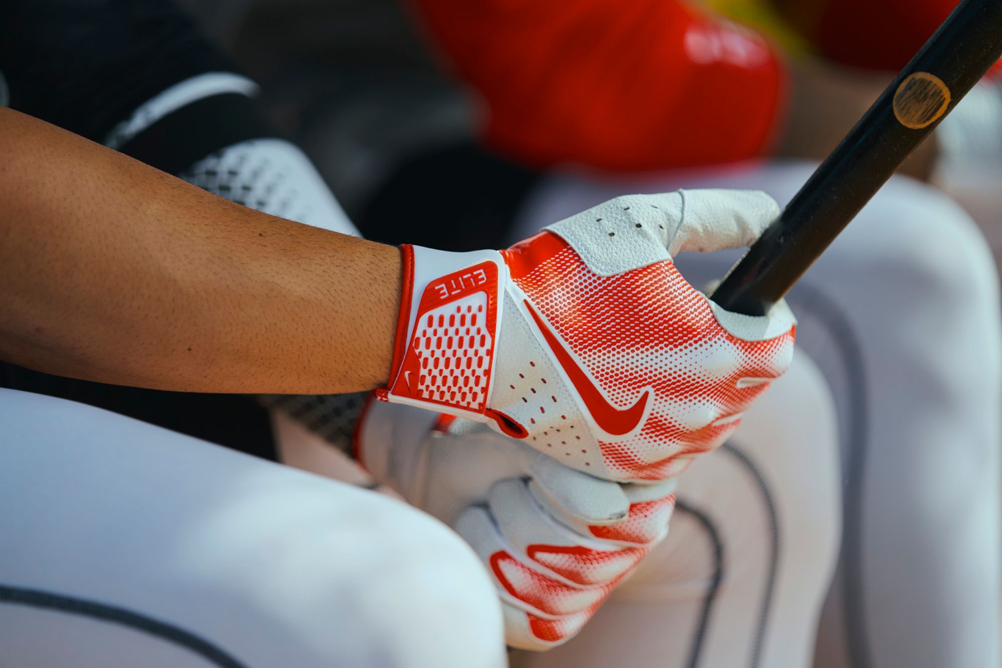 Nike Alpha Varsity Batting Gloves product image