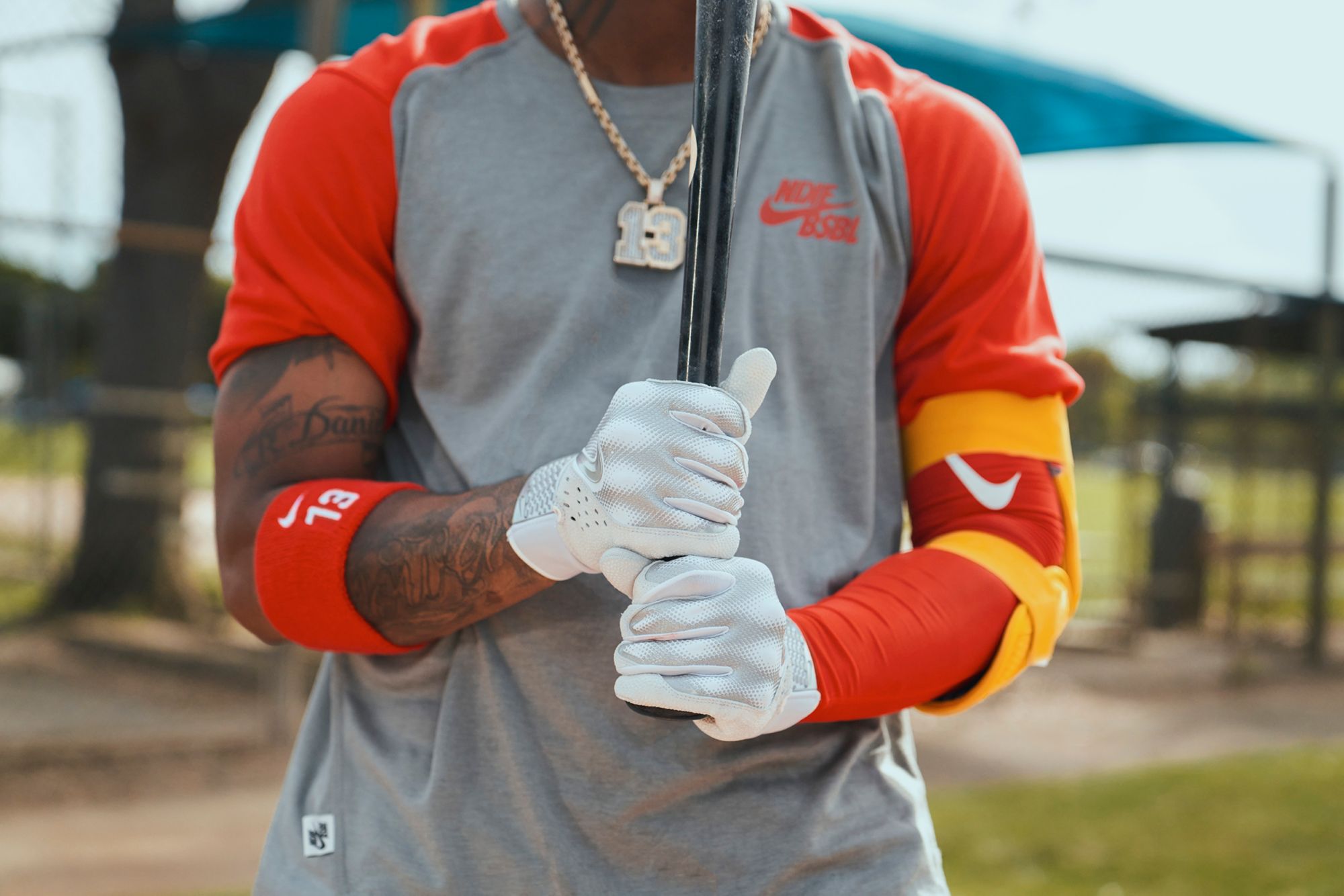 Nike Alpha Varsity Batting Gloves product image