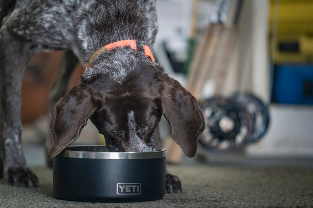 YETI Boomer 8 Dog Bowl product image