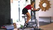 Sunny Health & Fitness Endurance Magnetic Indoor Exercise Cycle Bike