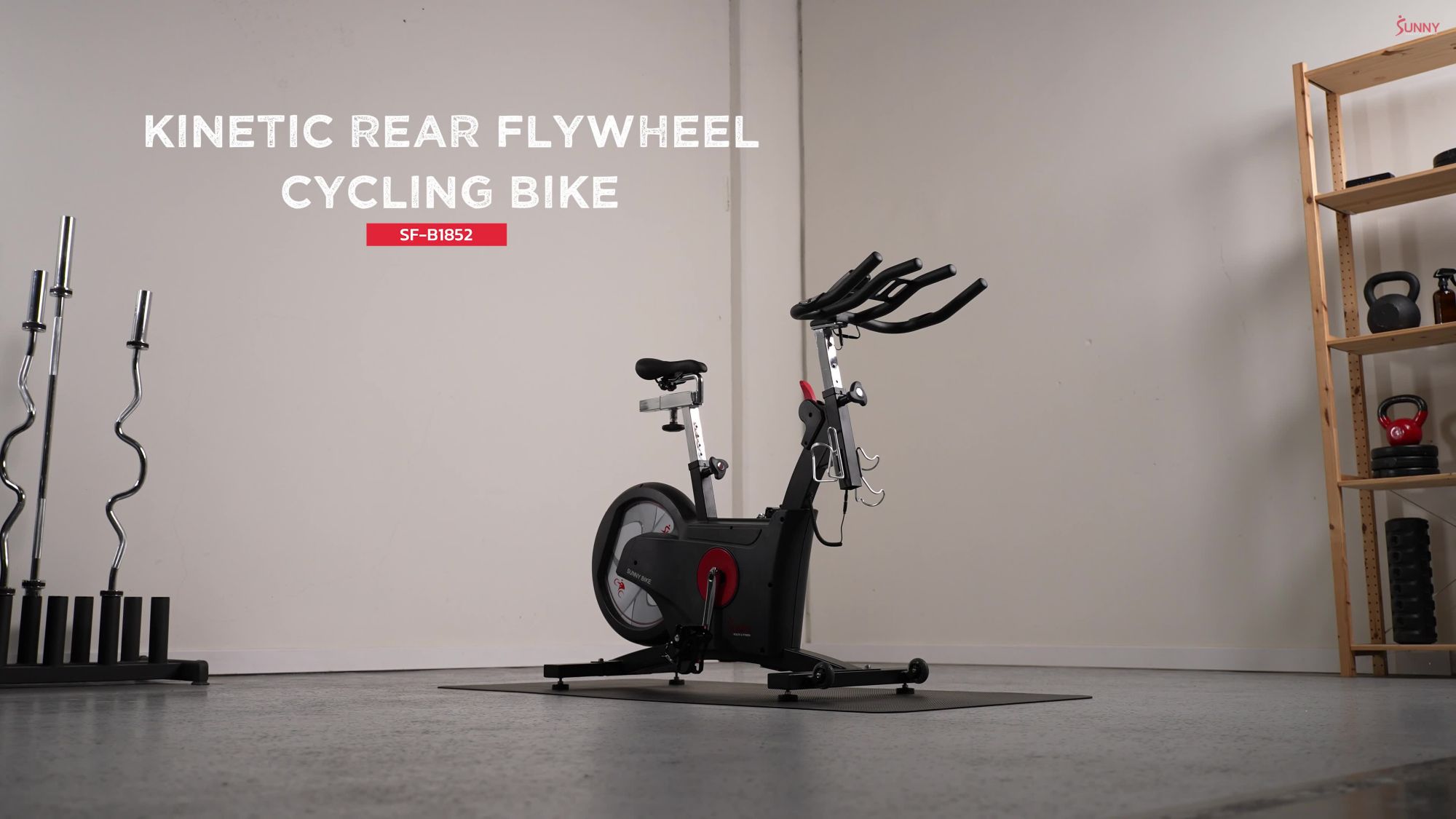 Sunny Health & Fitness Indoor Cycle Exercise Bike with Rear Flywheel product