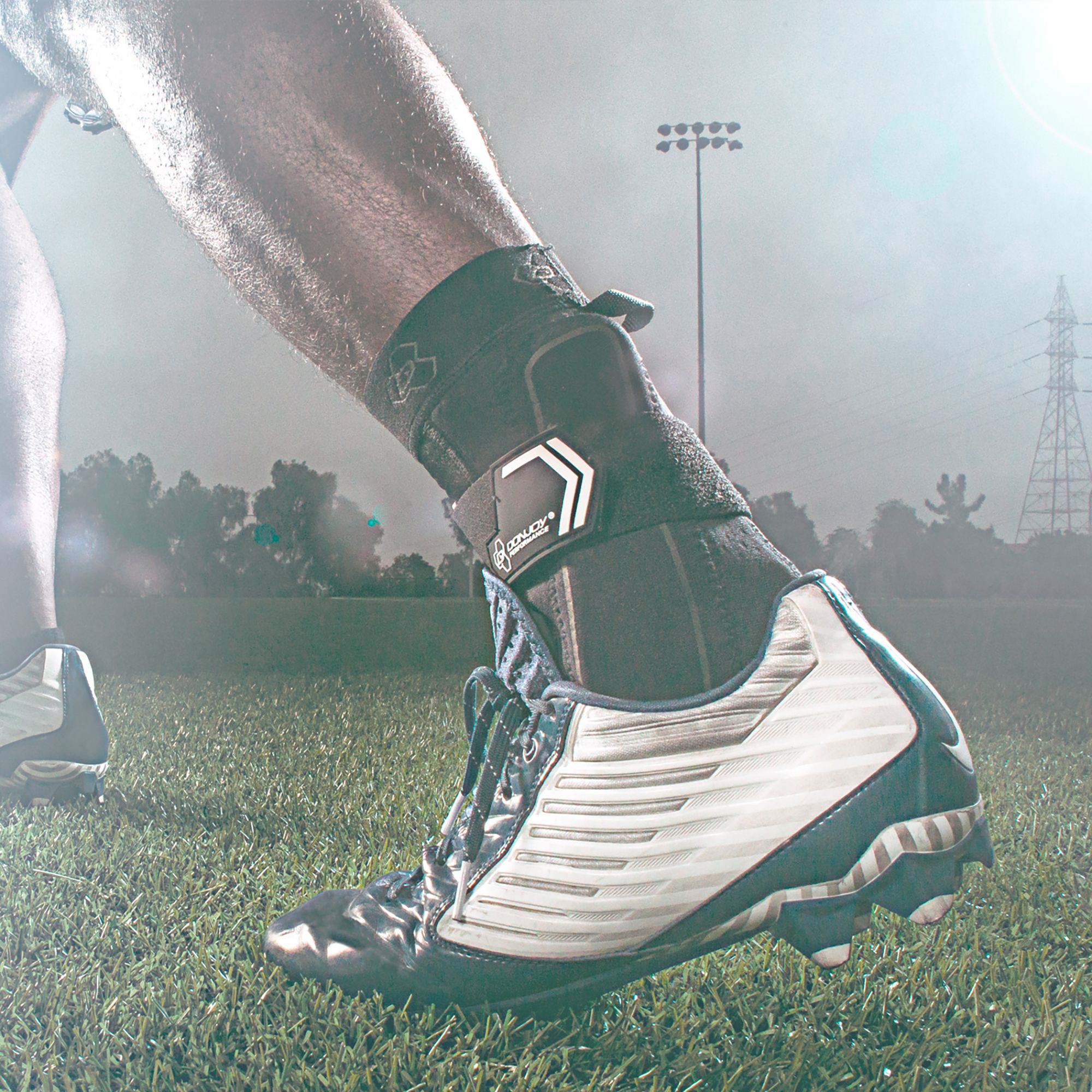 DonJoy Performance Bionic Ankle Brace product image
