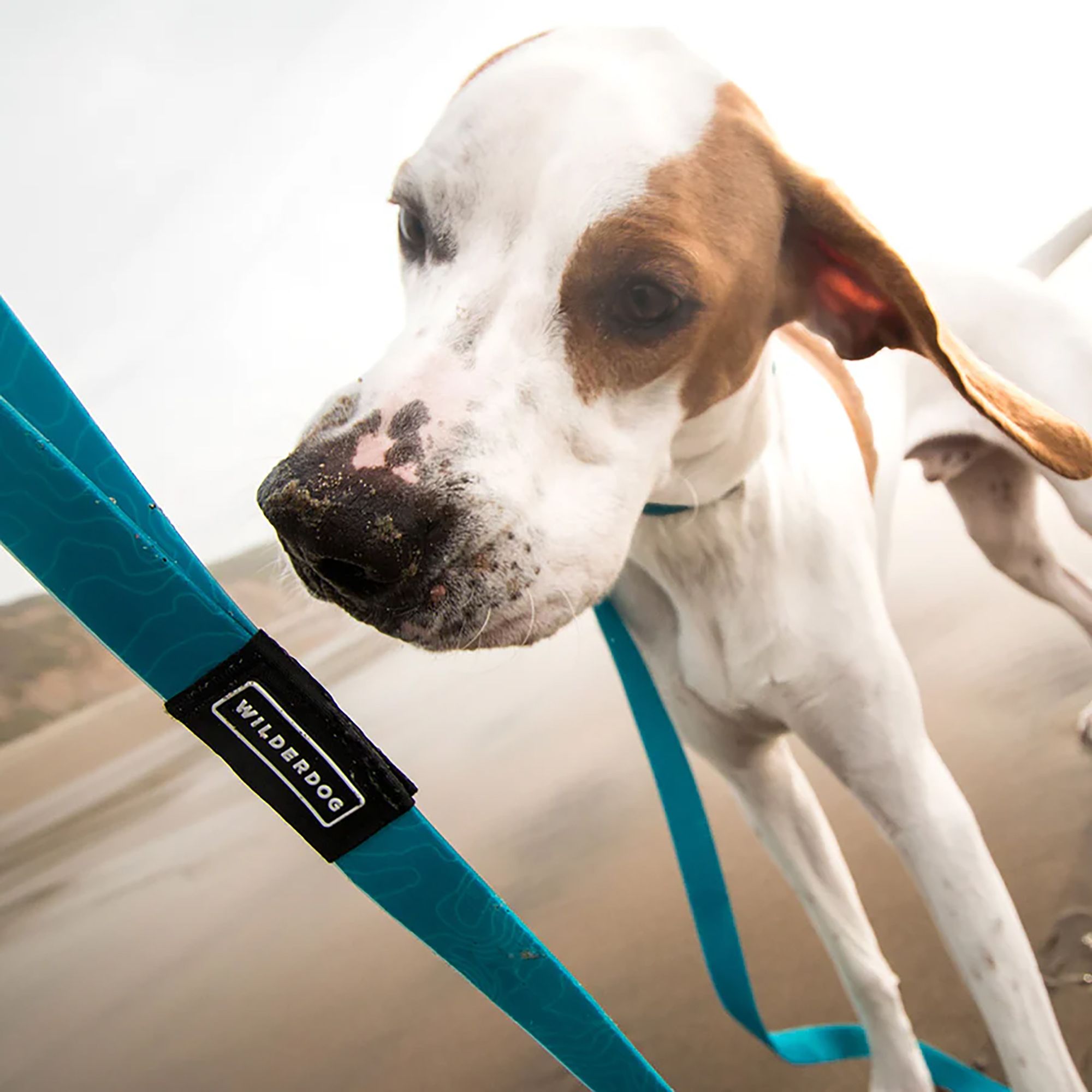 Wilderdog Waterproof Leash product image