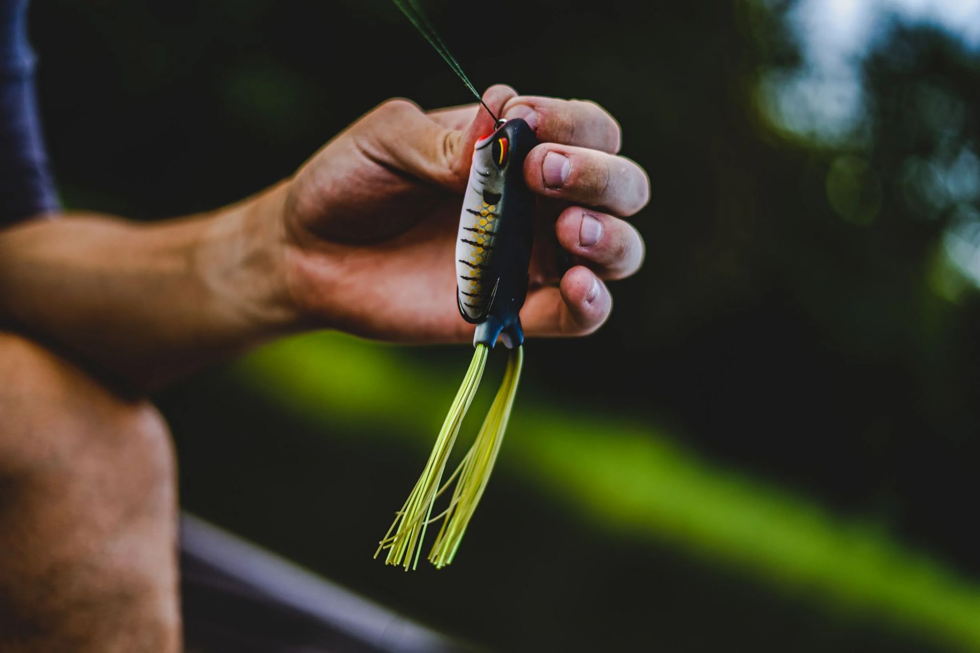 6th Sense Vega Frog product image