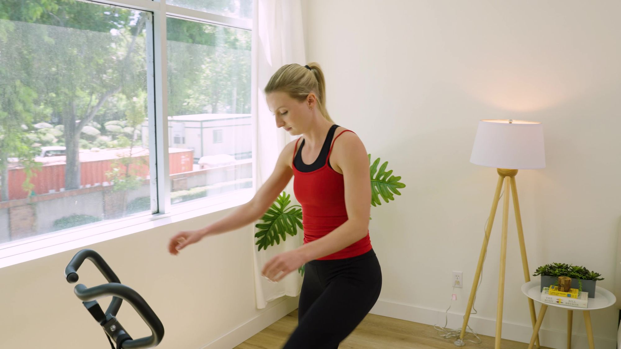 Sunny Health & Fitness Row-N-Ride PRO Trainer product