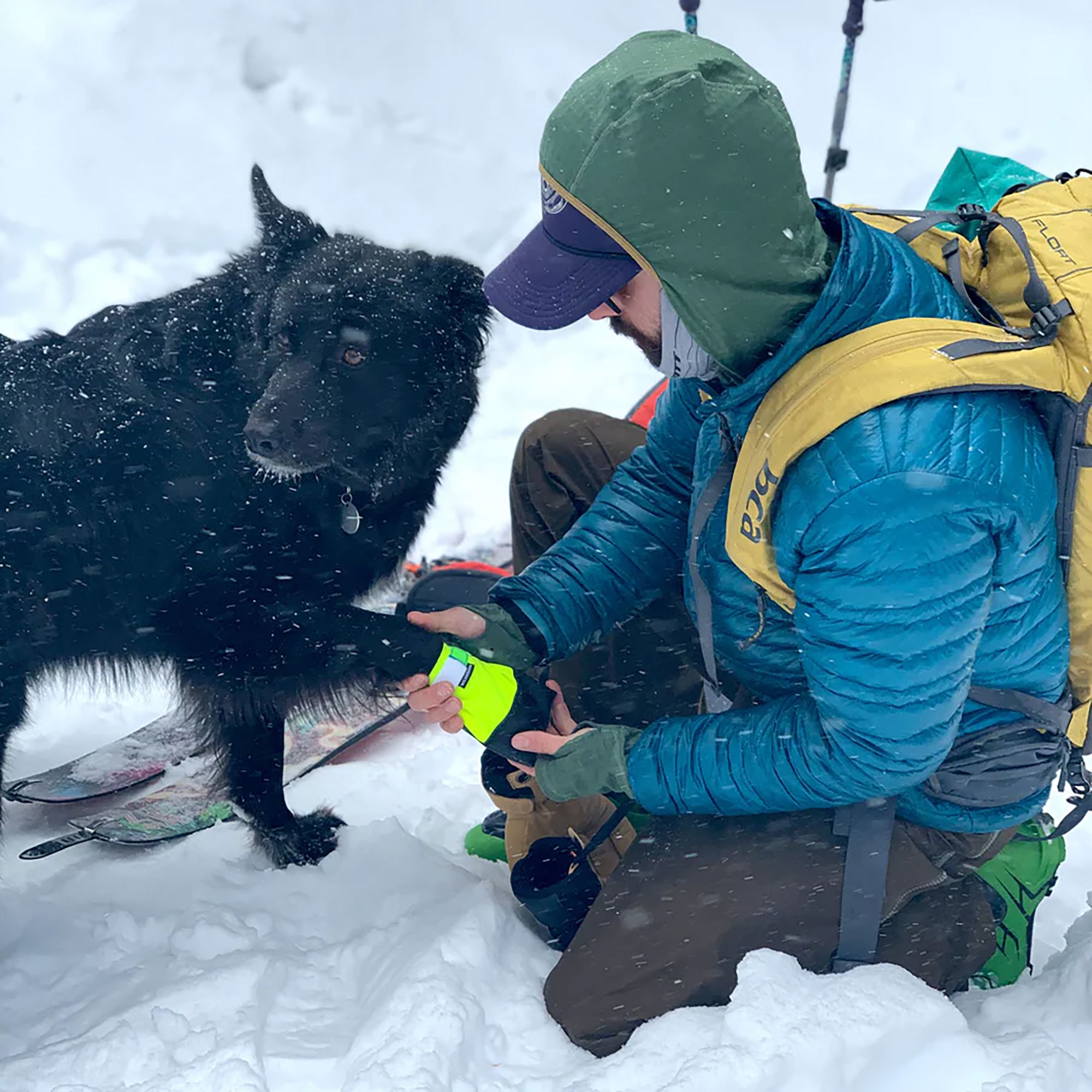 Wilderdog Booties product image