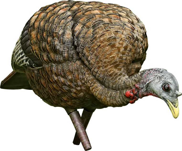 avian x lcd hen feeder turkey decoy dick s sporting goods avian x lcd hen feeder turkey decoy