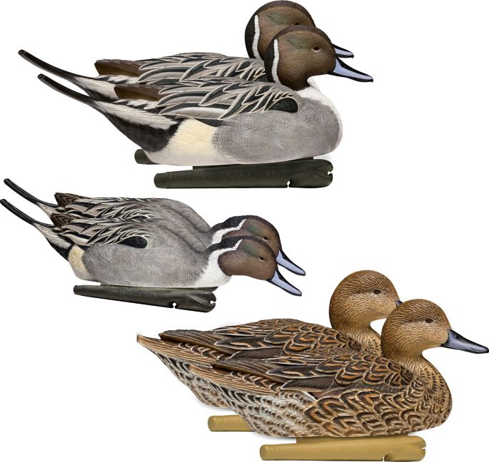 Avian X Topflight Pintail Duck Decoy 6 Pack Dick S Sporting Goods