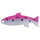 Rainbow Trout