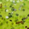 Chartreuse/Silver