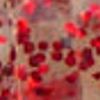 Clear Red