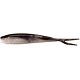 Black Shad