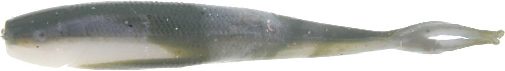 Emerald Shiner