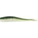Emerald Shiner