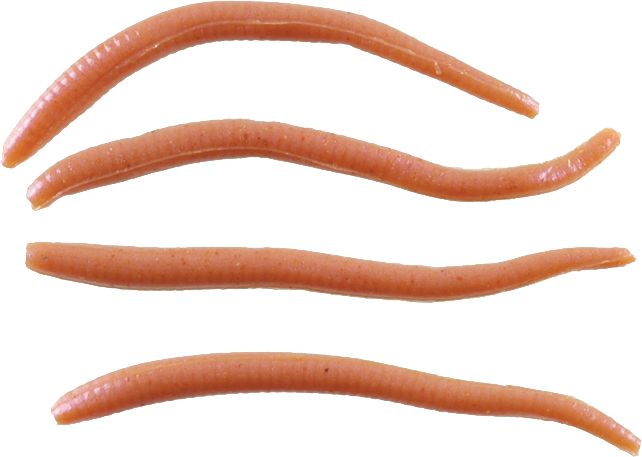Berkley Gulp! Alive! Angle Worm Soft Bait, Natural