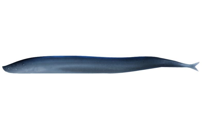Berkley Gulp! Sand Eel Soft Baits, Silver Mud