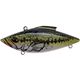 Yearling Bass