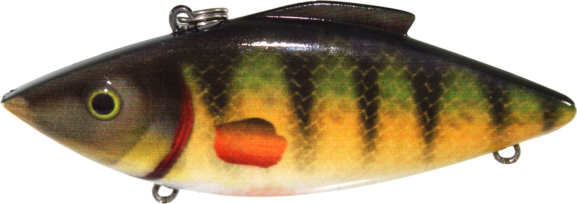 Yellow Perch