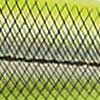 Chartreuse Herring