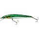 Green Mackerel