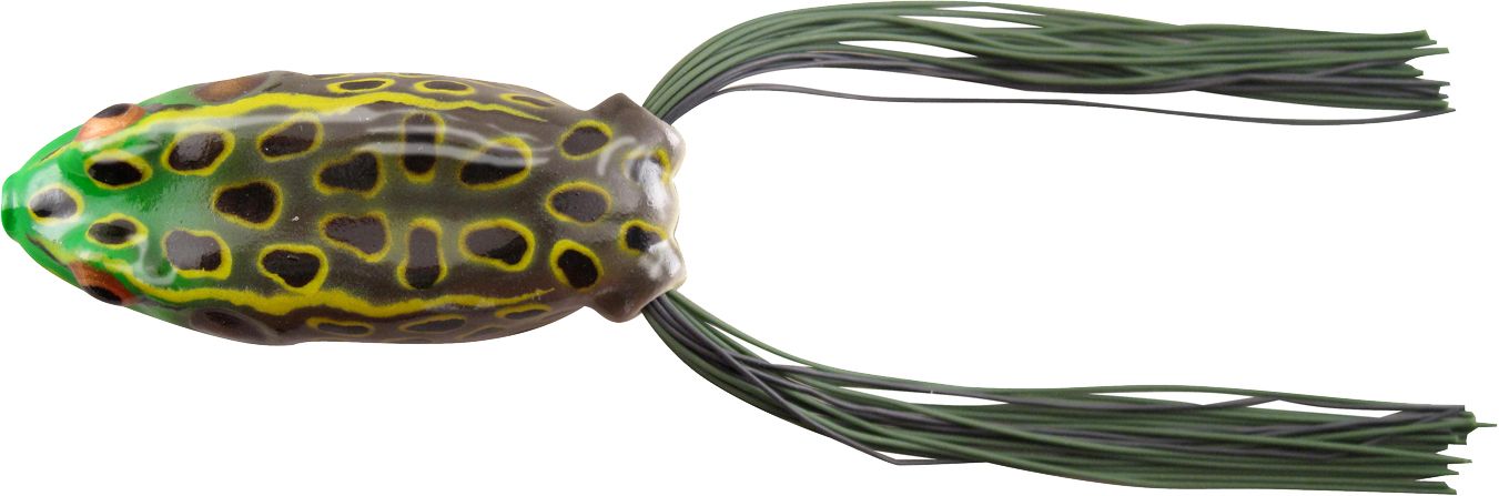 Bull Frog