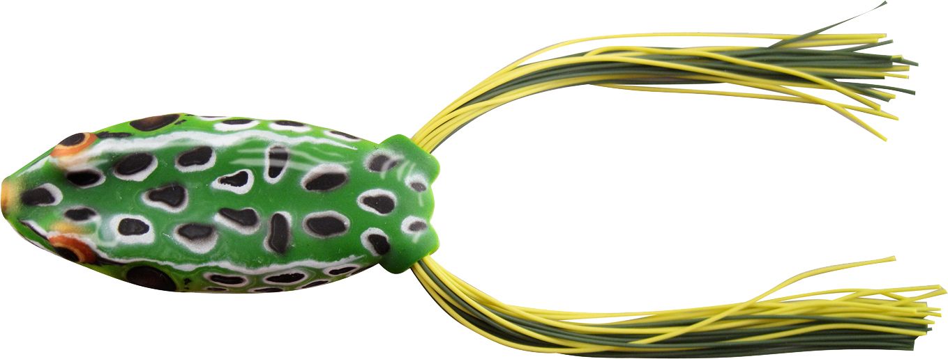 Leopard Frog