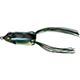 Shad Frog