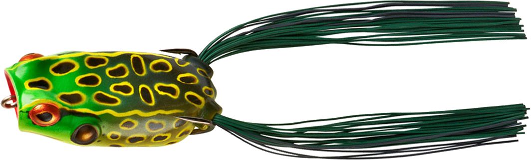 Bull Frog