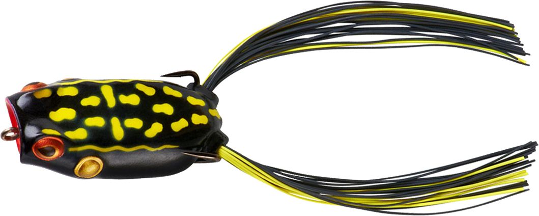 Dart Frog