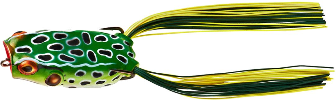 Leopard Frog