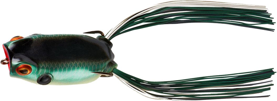 Shad Frog