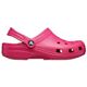 Dragon Fruit