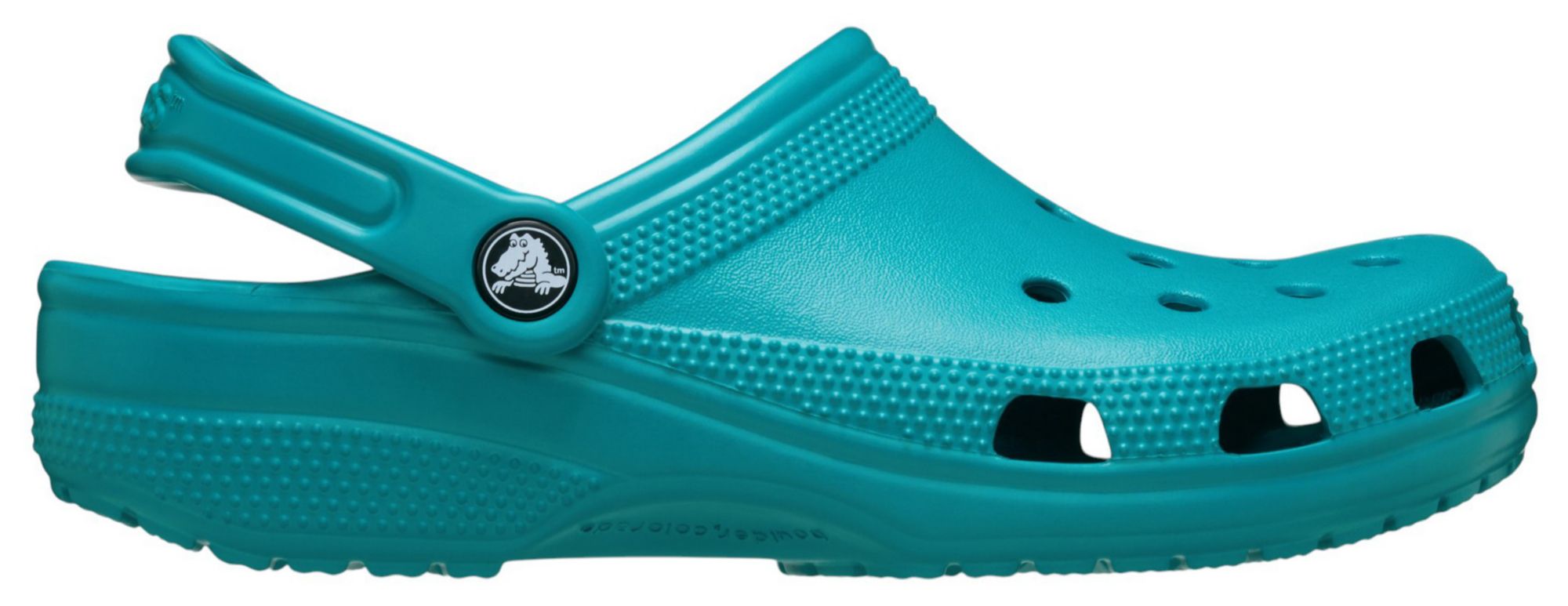 Turbo Teal