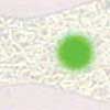 Green Dot/Crush/Glow