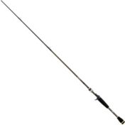 Daiwa FT Surf Spinning Rod | Dick's Sporting Goods