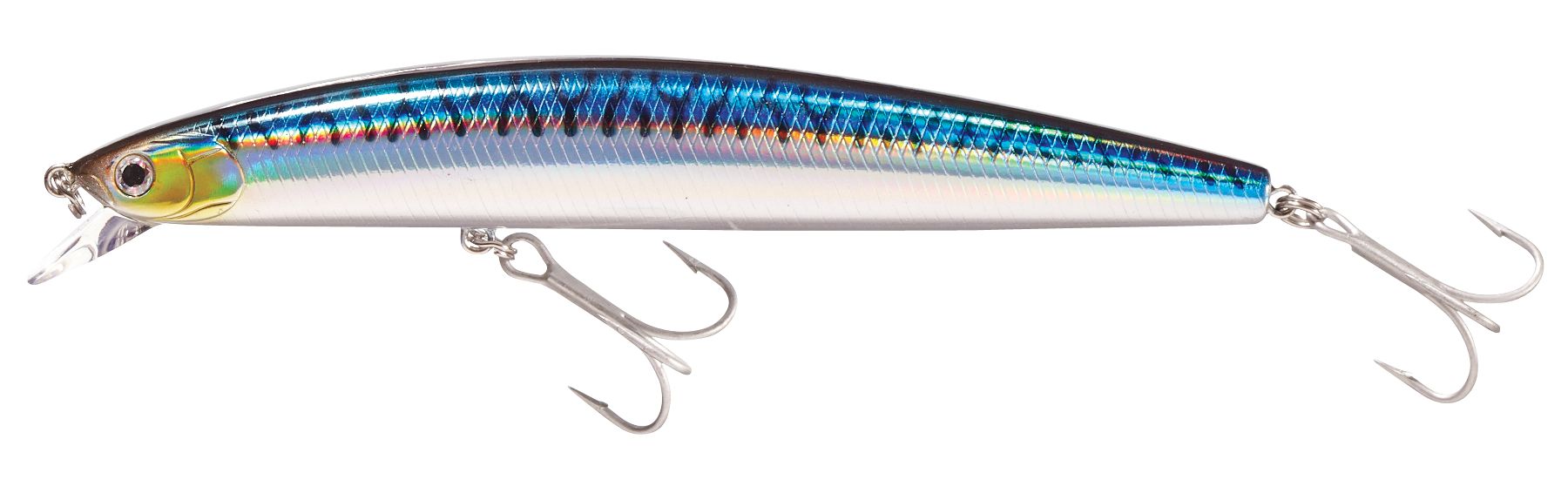 Blue Mackerel