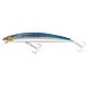 Blue Mackerel