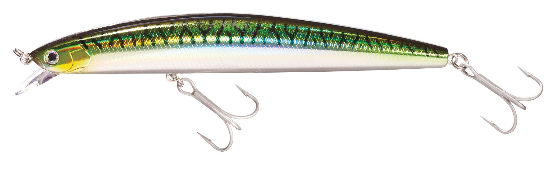 Green Mackerel