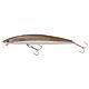 Sand Eel