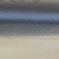 Alewife