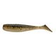 Golden Shiner