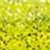 Chartreuse/Silver Glitter